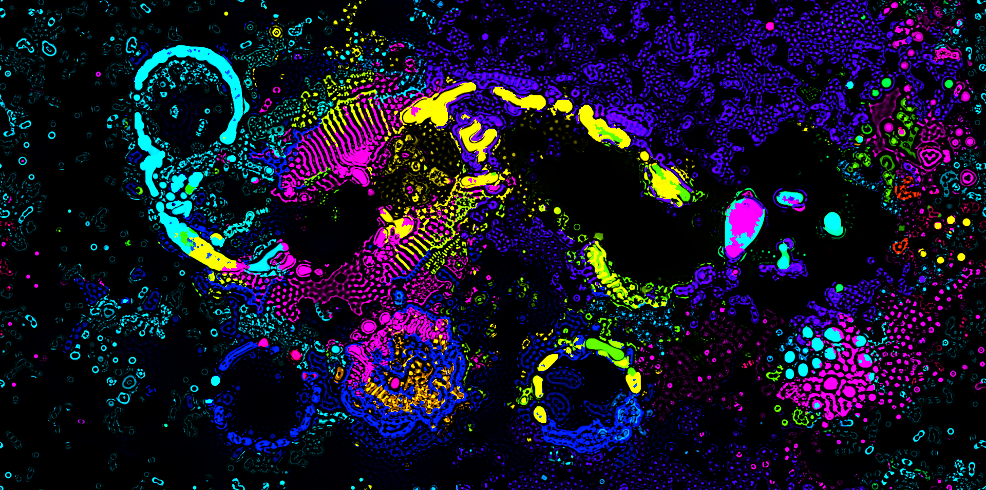 Fluid Lenia